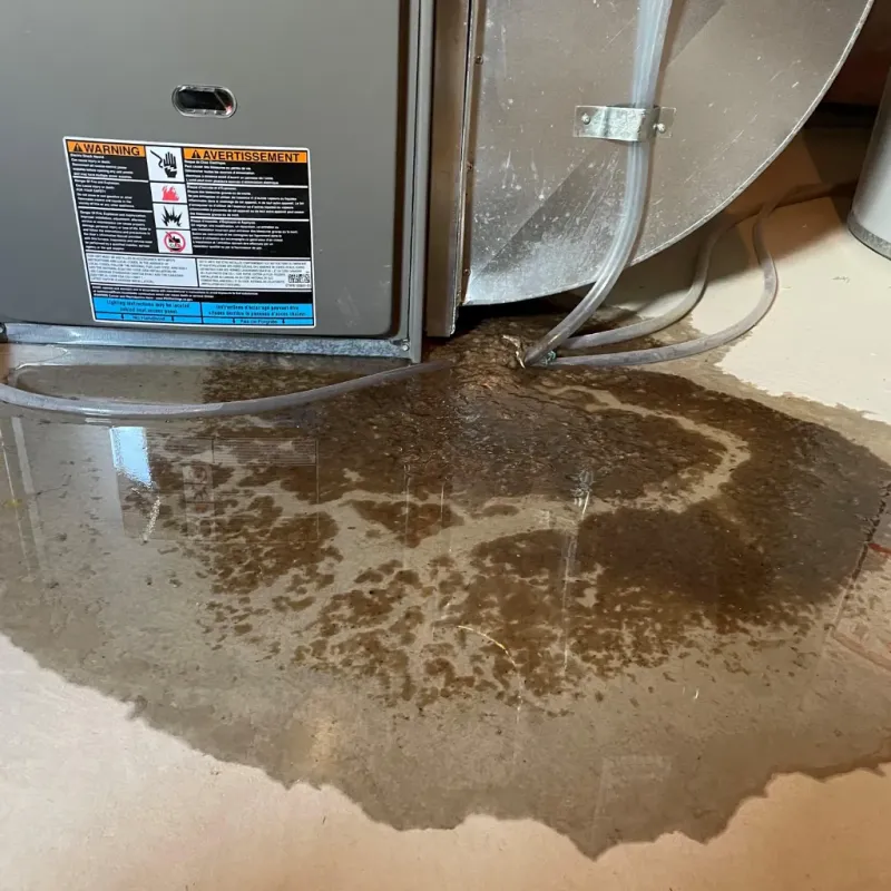 Appliance Leak Cleanup in Lakewood, CA